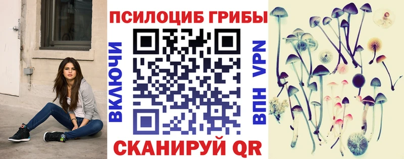 Псилоцибиновые грибы мицелий  сколько стоит  Дальнегорск 